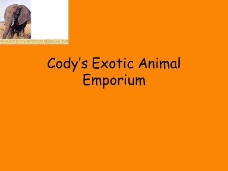 Cody’s Exotic Animal Emporium. Tigers Elephants.