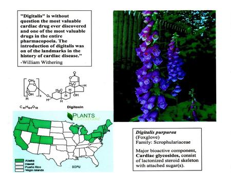 Digitoxin, a “cardiac glycoside”, is used to treat congestive heart failure and cardiac arrhythmia Derived from cholesterol, with shortening and lactonization.