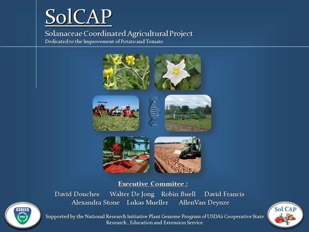 SolCAP Solanaceae Coordinated Agricultural Project Dedicated to the Improvement of Potato and Tomato Executive Commitee : David Douches Walter De Jong.