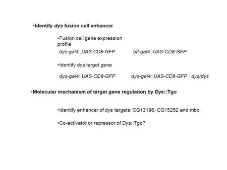 Fusion cell gene expression profile Molecular mechanism of target gene regulation by Dys::Tgo Identify enhancer of dys targets: CG13196, CG15252 and mbo.