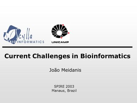 Current Challenges in Bioinformatics SPIRE 2003 Manaus, Brazil João Meidanis.