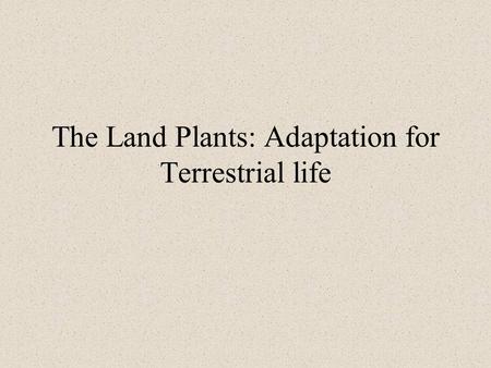 The Land Plants: Adaptation for Terrestrial life.