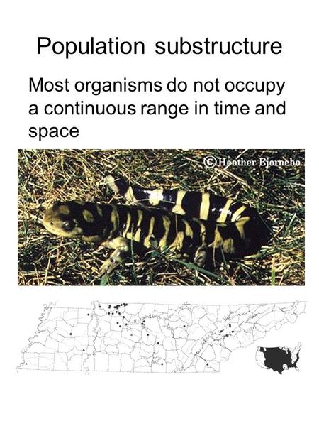 Population substructure Most organisms do not occupy a continuous range in time and space.