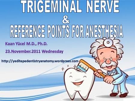 REFERENCE POINTS FOR ANESTHESIA