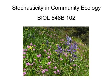 Stochasticity in Community Ecology