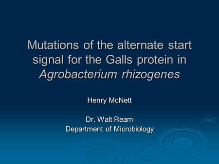 Mutations of the alternate start signal for the Galls protein in Agrobacterium rhizogenes Henry McNett Dr. Walt Ream Department of Microbiology.