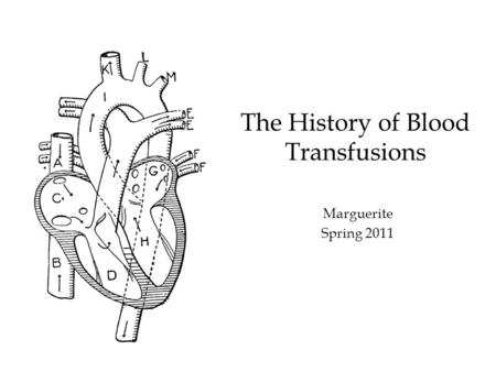 The History of Blood Transfusions Marguerite Spring 2011.