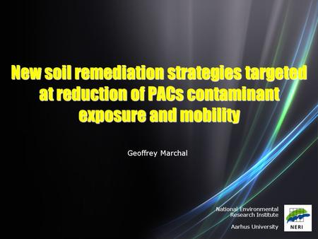 New soil remediation strategies targeted at reduction of PACs contaminant exposure and mobility National Environmental Research Institute Aarhus University.