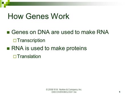 © 2006 W.W. Norton & Company, Inc. DISCOVER BIOLOGY 3/e