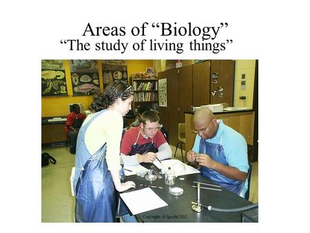 Areas of “Biology” “The study of living things” Copyright: G.Specht2001 t.