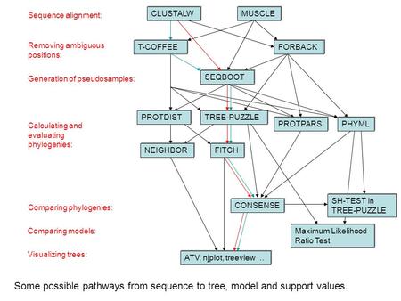 Sequence alignment: Removing ambiguous positions: Generation of pseudosamples: Calculating and evaluating phylogenies: Comparing phylogenies: Comparing.