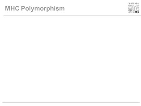 MHC Polymorphism. MHC Class I pathway Figure by Eric A.J. Reits.