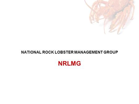 NATIONAL ROCK LOBSTER MANAGEMENT GROUP NRLMG. Multi-sector stakeholder representation –Customary –Amateur –Environment and Conservation –Commercial –Ministry.