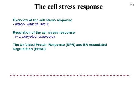 Overview of the cell stress response - history, what causes it Regulation of the cell stress response - in prokaryotes, eukaryotes The Unfolded Protein.