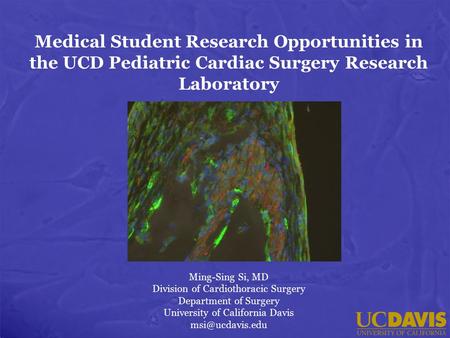 Medical Student Research Opportunities in the UCD Pediatric Cardiac Surgery Research Laboratory Ming-Sing Si, MD Division of Cardiothoracic Surgery Department.