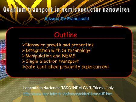 Silvano De Franceschi Laboratorio Nazionale TASC INFM-CNR, Trieste, Italy   Nanowire growth and properties.