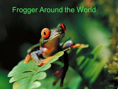 Frogger Around the World. -1981 arcade game. -distribution by Sega/Gremlin, and developed by Konami -13 sequels Frogger.