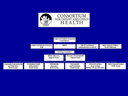 Standardization: Hampton Roads Asthma Action Plan/Authorization for Medication.