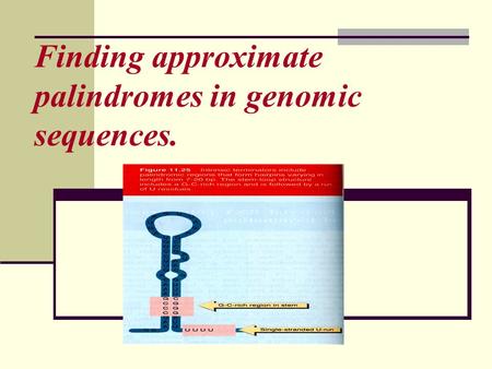 Finding approximate palindromes in genomic sequences.