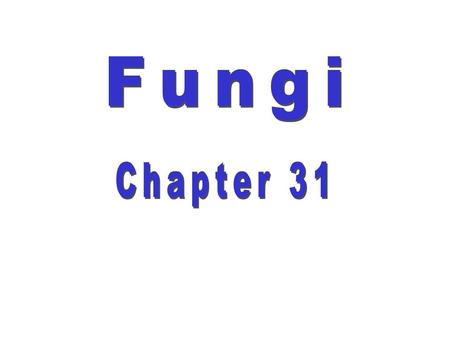 Fungi Chapter 31.