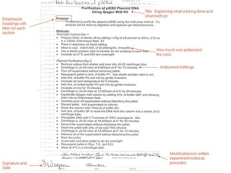 Title Explaining what is being done and what method How much was added and the conc. Instrument Settings Modifications to written experiment noted as proceded.