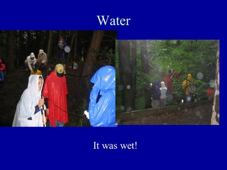 Water It was wet!. pH pH measures the acidity or alkalinity of water. We tested pH of the Huntington River, Sherman Brook, and rainwater. We collected.