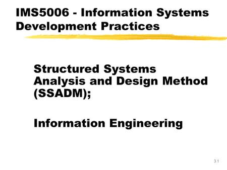 IMS Information Systems Development Practices