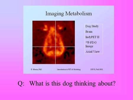 Q: What is this dog thinking about?. He’s thinking about two things: 1. Saturable processes. 2. Solving the FDG model.