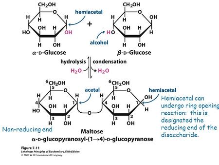 Hemiacetal can undergo ring opening reaction: this is designated the reducing end of the disaccharide. Non-reducing end.