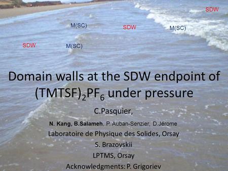 Domain walls at the SDW endpoint of (TMTSF) 2 PF 6 under pressure C.Pasquier, Laboratoire de Physique des Solides, Orsay S. Brazovskii LPTMS, Orsay Acknowledgments: