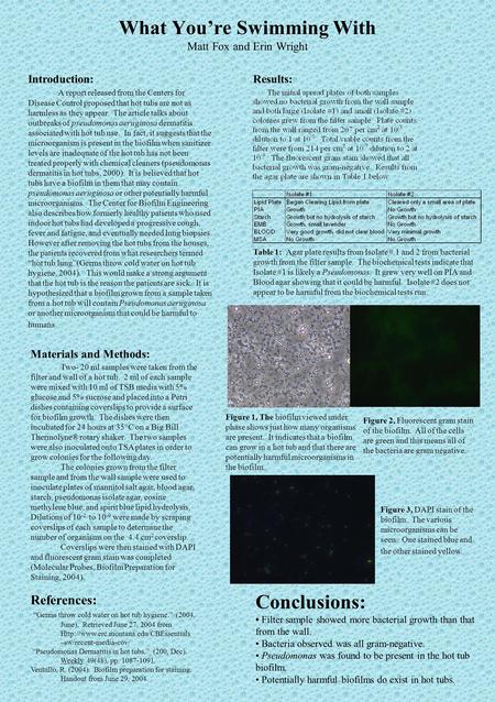 What You’re Swimming With Matt Fox and Erin Wright Materials and Methods: Two- 20 ml samples were taken from the filter and wall of a hot tub. 2 ml of.