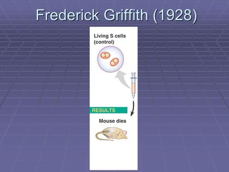 Frederick Griffith (1928). Avery, McCarty & MacLeod (1944) Only DNA (not protein, lipid or carbohydrates) TRANSFORM bacteria Only DNA (not protein,