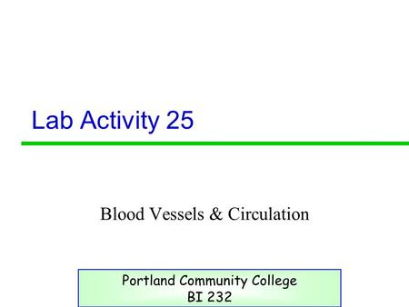 Blood Vessels & Circulation