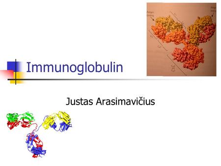 Immunoglobulin Justas Arasimavičius. Immunoglobulin Element of adaptive immune mechanism Better known as antibody It recognize the foreign objects How.