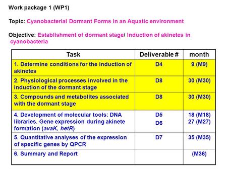 Work package 1 (WP1) Topic: Cyanobacterial Dormant Forms in an Aquatic environment Objective: Establishment of dormant stage/ Induction of akinetes in.