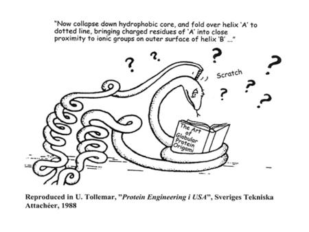 Major Application: Finding Homologies (C) Mark Gerstein, Yale University bioinfo.mbb.yale.edu/mbb452a.