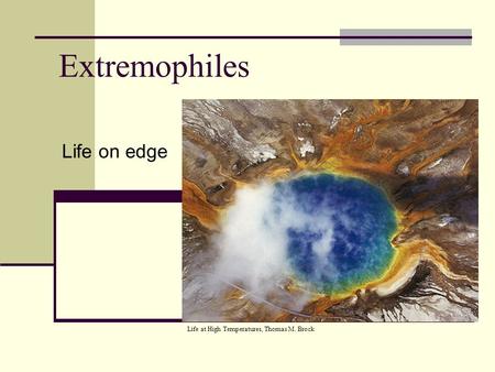 Extremophiles Life on edge Life at High Temperatures, Thomas M. Brock.