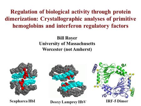 Regulation of biological activity through protein dimerization: Crystallographic analyses of primitive hemoglobins and interferon regulatory factors Bill.