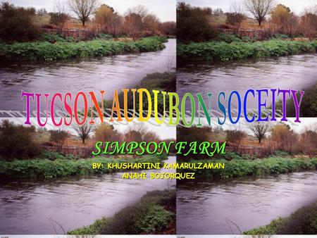 SIMPSON FARM BY: KHUSHARTINI KAMARULZAMAN ANAHI BOJORQUEZ.