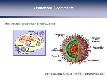 Homework 2 comments From R. Chisholm, Northwestern University.