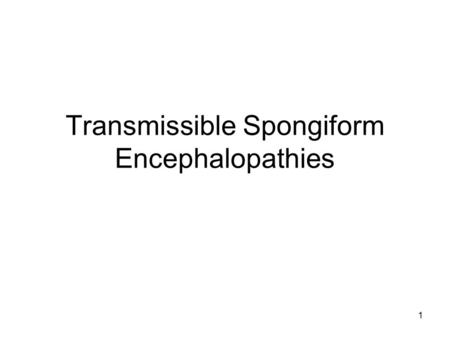 1 Transmissible Spongiform Encephalopathies. 2 Kuru Since the early 1900’s the Fore people of New Guinea have honored their dead by cooking and consuming.