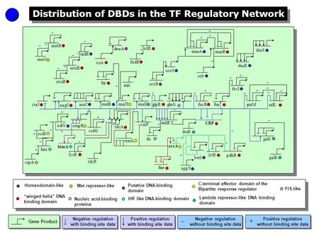 Distribution of DBDs in the TF Regulatory Network Gene Product Negative regulation with binding site data Positive regulation with binding site data _.