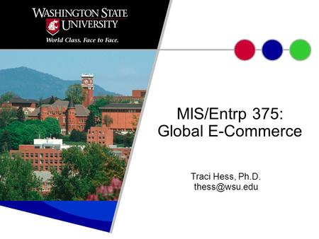 Traci Hess, Ph.D. MIS/Entrp 375: Global E-Commerce.