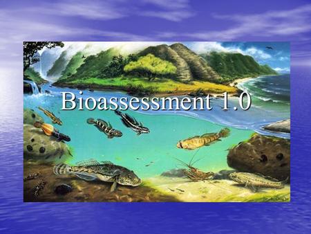 Bioassessment 1.0. Stream Visual Assessment Protocol 1. Turbidity 2. Plant growth 3. Channel Condition 4. Channel Flow Alteration 5. Percent Embeddedness.