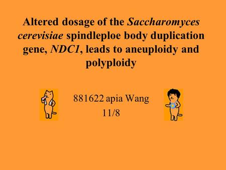 Altered dosage of the Saccharomyces cerevisiae spindleploe body duplication gene, NDC1, leads to aneuploidy and polyploidy 881622 apia Wang 11/8.