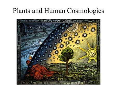 Plants and Human Cosmologies. Areas where special plants are used to enter another world.