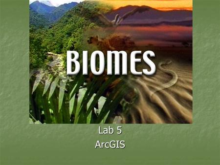 BIOMES Lab 5 ArcGIS. Making Maps Minimize white space Minimize white space Always include: Always include: Title Title Legend Legend Your name Your name.