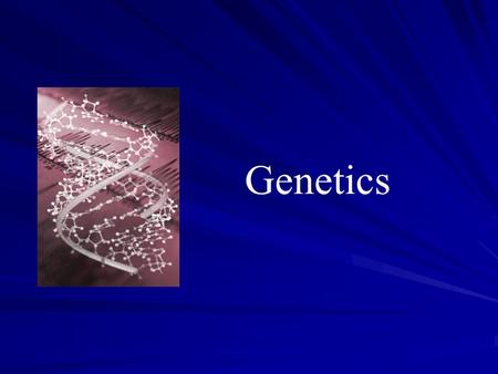 Genetics. What is DNA? (Deoxyribonucleic acid) The genetic material of all organisms.