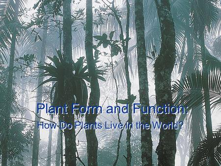 Plant Form and Function: