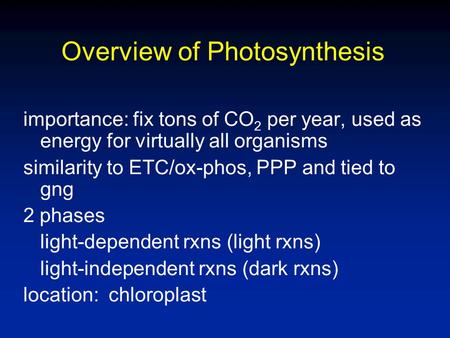 Overview of Photosynthesis